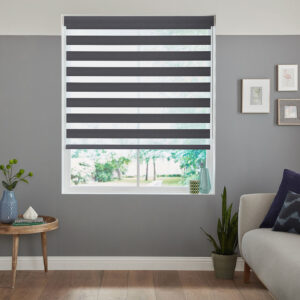 Zebra Blinds